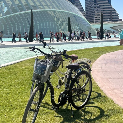 Un día en bici por Valencia (1)