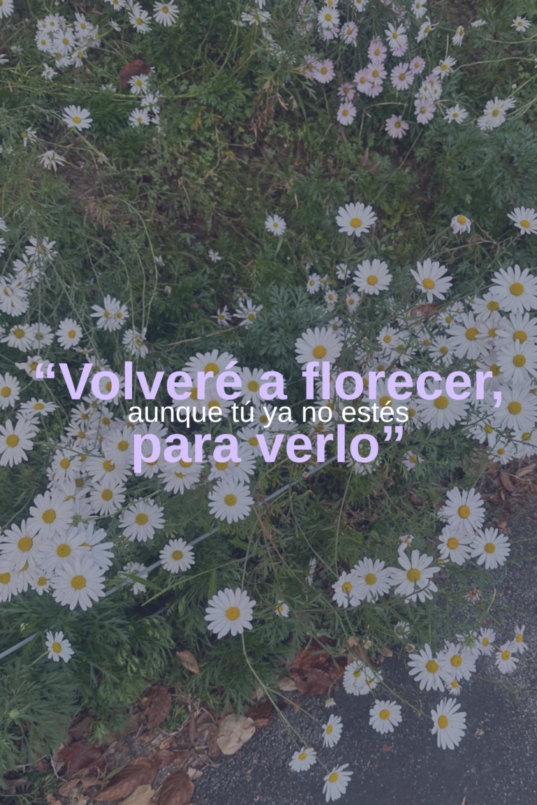 Florecer aunque nadie mire: un viaje de crecimiento personal femenino